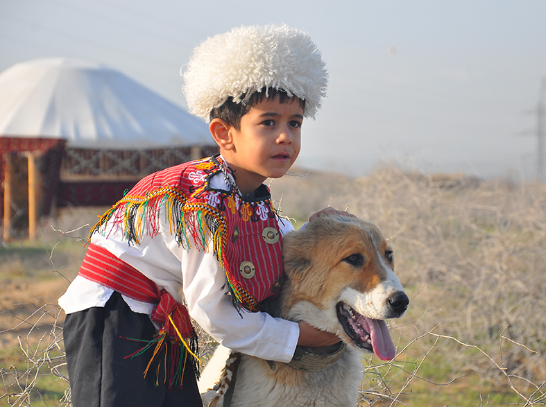 Туркменский волкодав: внешний вид, характер и воспитание, уход и содержание